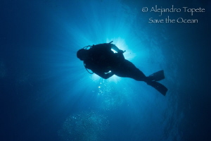 Diver in sun Rays, La Paz México by Alejandro Topete 